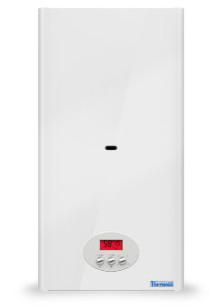 Газовый настенный котел THERMONA THERM 32 CLN.A Газовый настенный котел THERMONA THERM 32 CLN.A