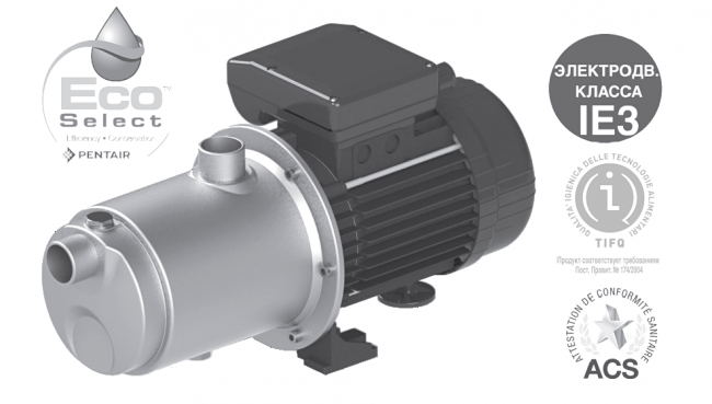 Самовсасывающий насос STA-RITE (NOCCHI) Multi EVO-A 8-50 M в Новосибирске Самовсасывающий насос STA-RITE (NOCCHI) Multi EVO-A 8-50 M в Новосибирске