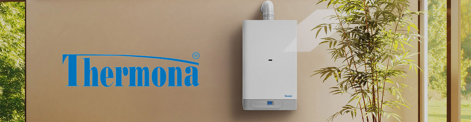 Оборудование и запчасти Thermona